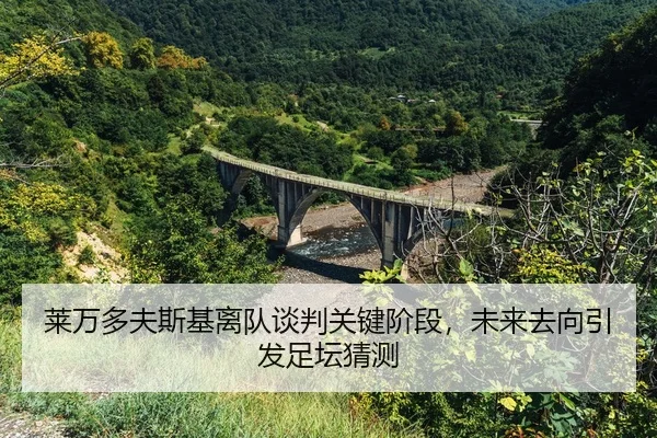 lai-wan-duo-fu-si-ji-li-dui-tan-pan-guan-jian-jie-duan-wei-lai-qu-xiang-yin-fa-zu-tan-cai-ce-2-408.jpg