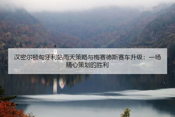 汉密尔顿匈牙利站雨天策略与梅赛德斯赛车升级：一场精心策划的胜利