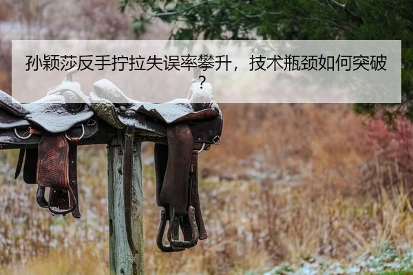 孙颖莎反手拧拉失误率攀升，技术瓶颈如何突破？