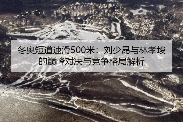 dong-ao-duan-dao-su-hua-mi-liu-shao-ang-yu-lin-xiao-jun-de-dian-feng-dui-jue-yu-jing-zheng-ge-ju-jie-xi-3-718.jpg