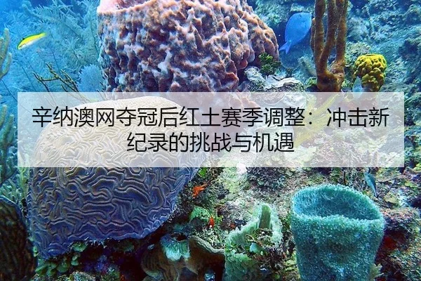 辛纳澳网夺冠后红土赛季调整：冲击新纪录的挑战与机遇