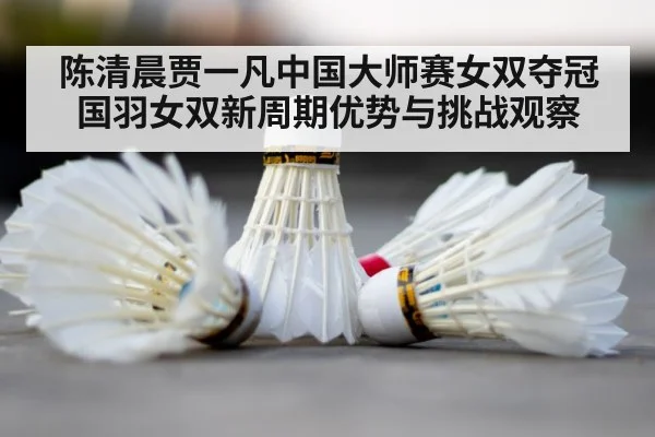 badminton shuttlecock court